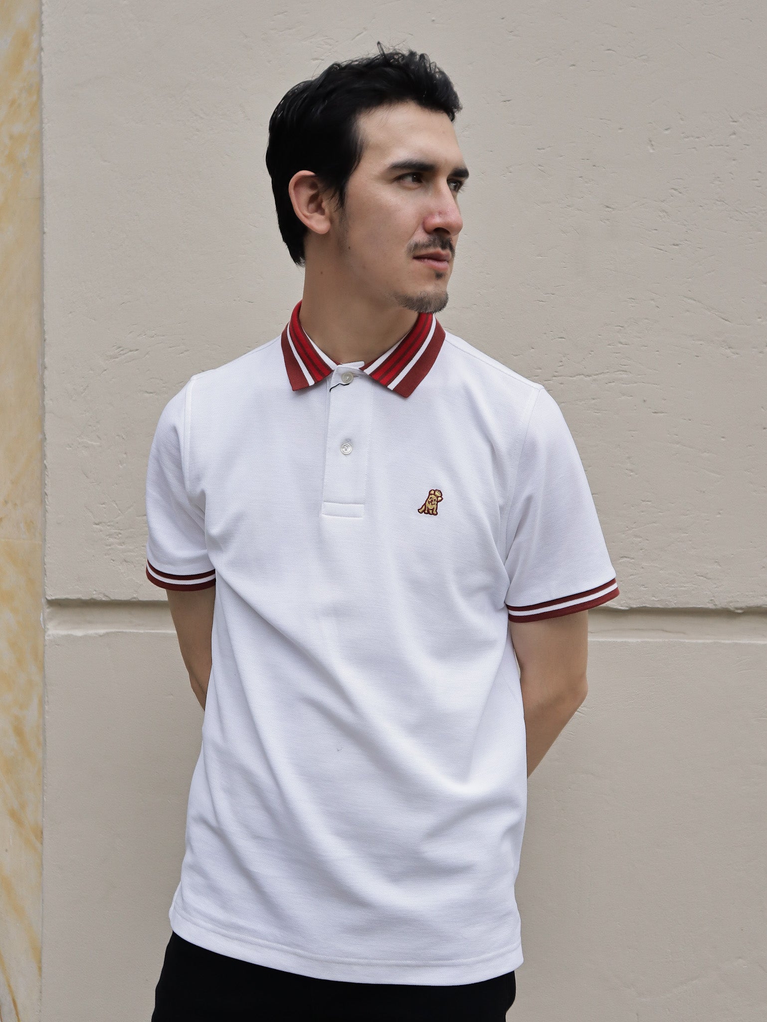 Camiseta Tipo Polo James Bark