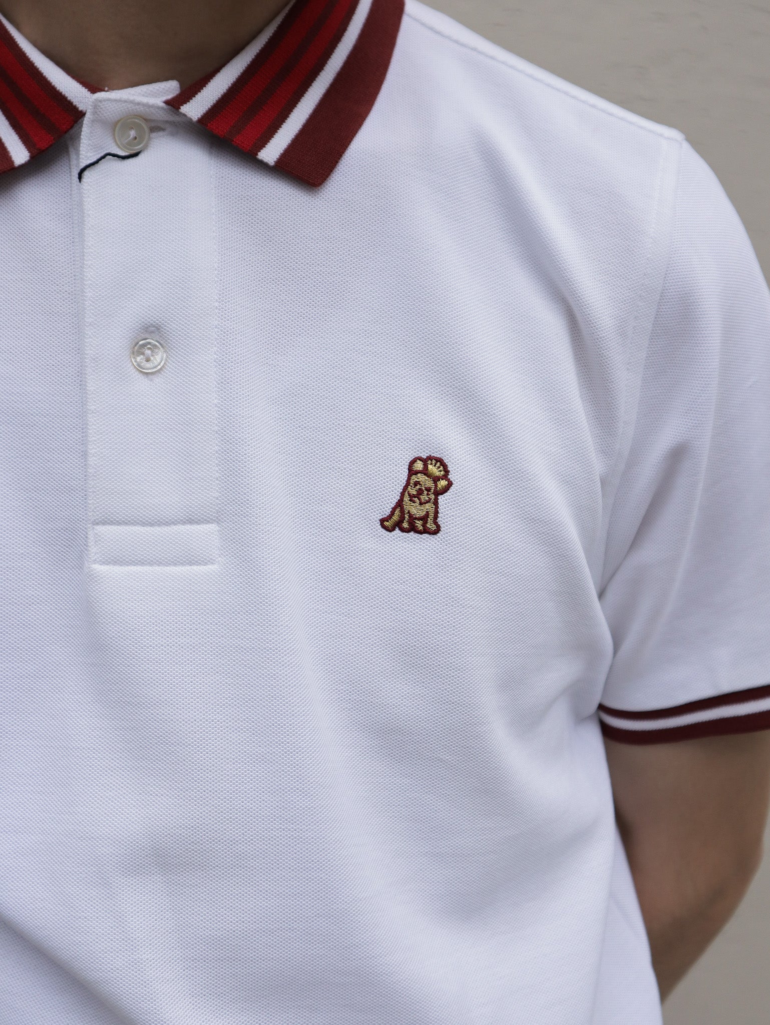 Camiseta Tipo Polo James Bark